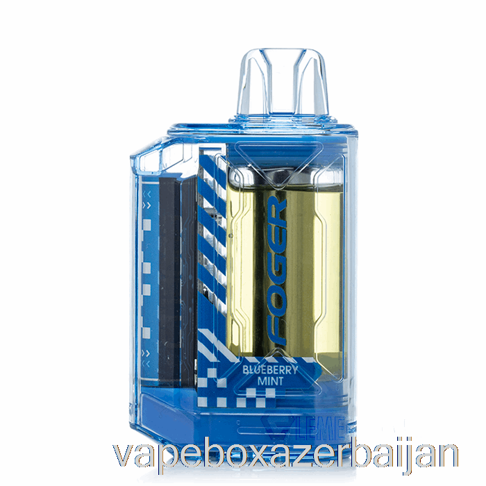 Vape Azerbaijan Foger CT10000 Disposable Blueberry Mint